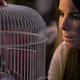 Image for article titled Bird Box, a Movie for Your Bird Brain